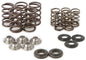 Raptor Spring Kit/ Ti Retainers