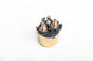 Starter Solenoid
