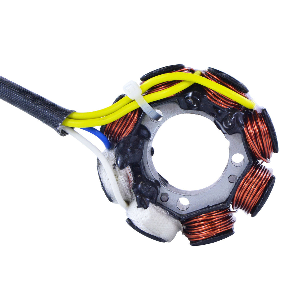 40w Ac/DC Stator Lighting Kit Stator+Regulator+Pickup