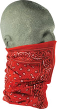 Load image into Gallery viewer, Motley Tube Red Paisley
