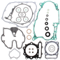 Complete Gasket Set With Oil Seals