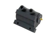 Load image into Gallery viewer, Volt Tech Black 12 Volt Dual Fire Coil