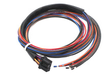 Load image into Gallery viewer, Deutsch Wiring Connector for Tail Lamp