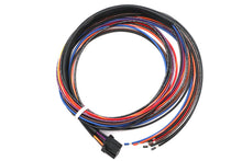 Load image into Gallery viewer, Deutsch Wiring Connector for Tail Lamp