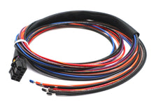 Load image into Gallery viewer, Deutsch Wiring Connector for Tail Lamp