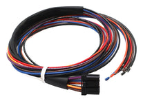 Load image into Gallery viewer, Deutsch Wiring Connector for Tail Lamp