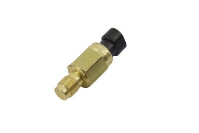 EFI Engine Temperature Sensor