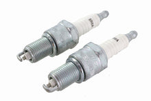 Load image into Gallery viewer, V-Twin Nickel Spark Plugs