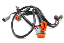 Load image into Gallery viewer, Replacement Complete Ignition Harness
