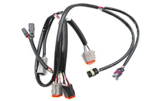 Load image into Gallery viewer, Replacement Complete Ignition Harness