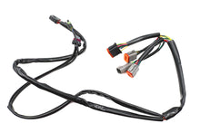 Load image into Gallery viewer, Replacement Complete Ignition Harness