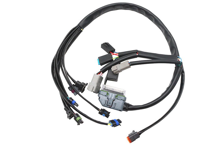 Complete EFI Harness