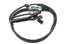 Load image into Gallery viewer, Complete EFI Harness