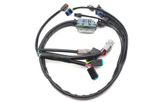 Load image into Gallery viewer, Complete EFI Harness