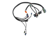 Load image into Gallery viewer, Complete EFI Harness