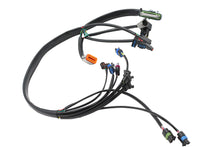 Load image into Gallery viewer, Complete EFI Harness