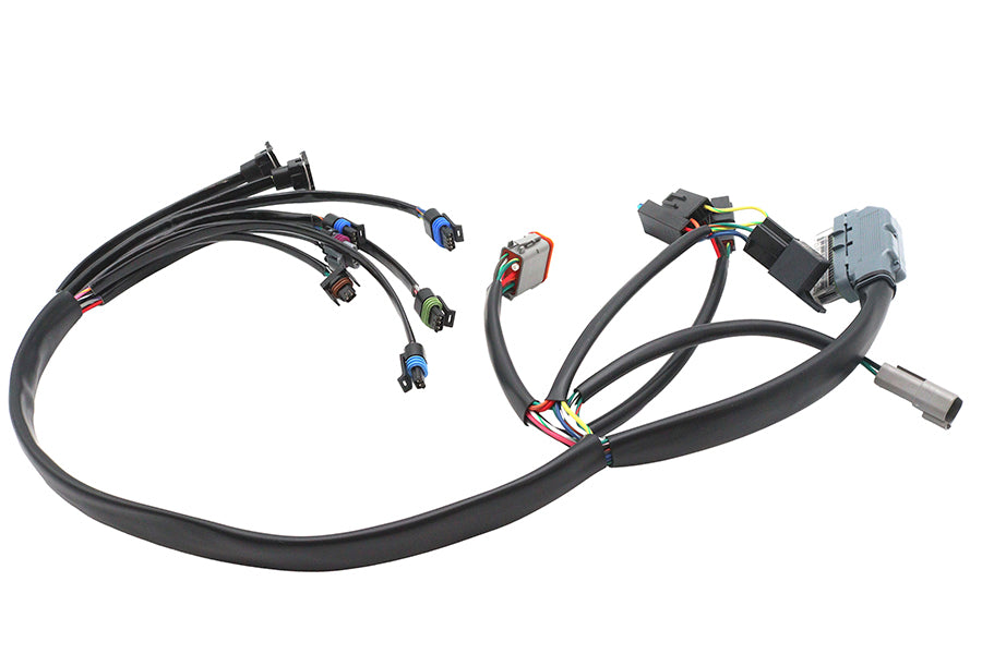 Complete EFI Harness