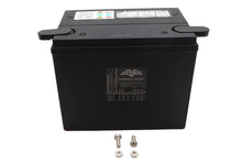 Load image into Gallery viewer, Ultima 12 Volt AGM Thundervolt Battery