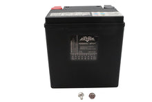 Load image into Gallery viewer, Ultima 12 Volt AGM Thundervolt Battery