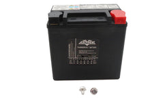 Load image into Gallery viewer, Ultima 12 Volt AGM Thundervolt Battery