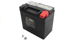 Load image into Gallery viewer, Ultima 12 Volt AGM Thundervolt Battery