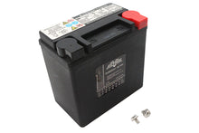Load image into Gallery viewer, Ultima 12 Volt AGM Thundervolt Battery
