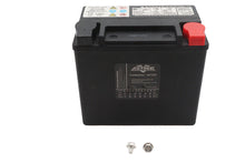 Load image into Gallery viewer, Ultima 12 Volt AGM Thundervolt Battery