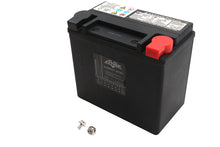 Load image into Gallery viewer, Ultima 12 Volt AGM Thundervolt Battery