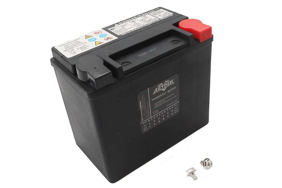 Ultima 12 Volt AGM Thundervolt Battery