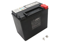 Load image into Gallery viewer, Ultima 12 Volt AGM Thundervolt Battery