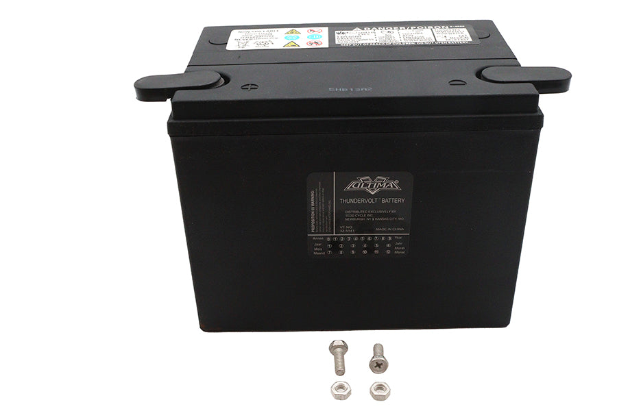 Ultima 12 Volt AGM Thundervolt Battery
