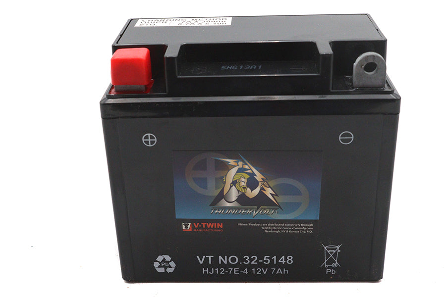Ultima 12 Volt AGM Thundervolt Battery