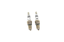 Load image into Gallery viewer, V-Twin Performance Spark Plug Set