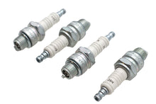 Load image into Gallery viewer, Champion Spark Plugs Copper Plus