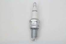 Load image into Gallery viewer, Champion Copper Plus Spark Plugs