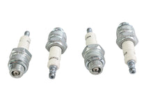 Load image into Gallery viewer, Champion Spark Plug
