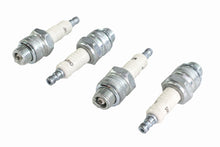 Load image into Gallery viewer, Champion Spark Plug