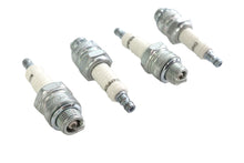 Load image into Gallery viewer, Champion Spark Plug