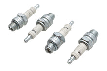 Load image into Gallery viewer, Champion Copper Plus Spark Plugs