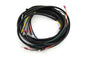 Main Wiring Harness