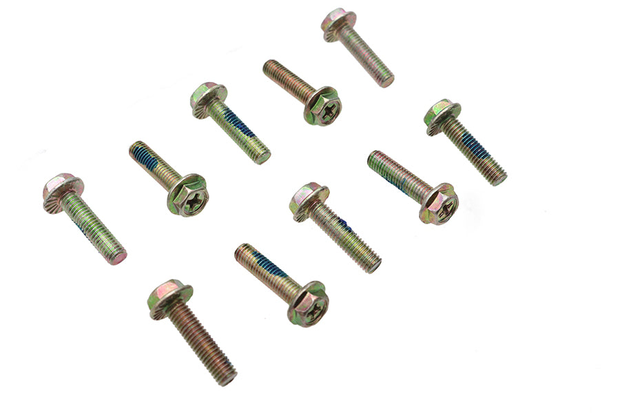 Ignition Sensor Cup Screw