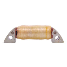 Load image into Gallery viewer, Stator Ignition Source Coil