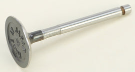 Intake Valve