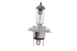 6 Volt Bulb