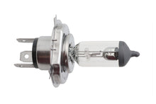 Load image into Gallery viewer, 6 Volt Bulb