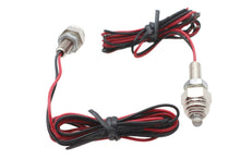 Load image into Gallery viewer, License Plate Frame Mounting Bolt Set with Blue LEDS