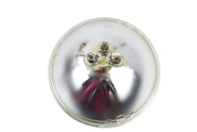 Load image into Gallery viewer, 7 inch 12 Volt Sealed Beam Flute Lens