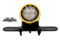 Drilled Gold Bezel Tail Lamp