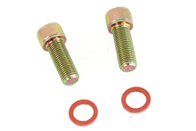 Load image into Gallery viewer, Damper Fork Tube Screw and Washer Kit Zinc Plated