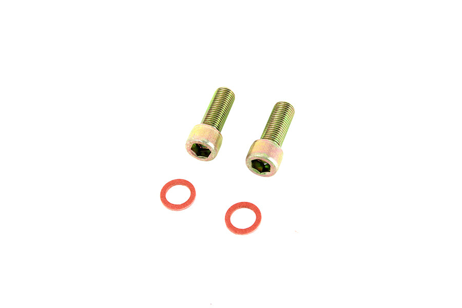 Damper Fork Tube Screw and Washer Kit Zinc Plated